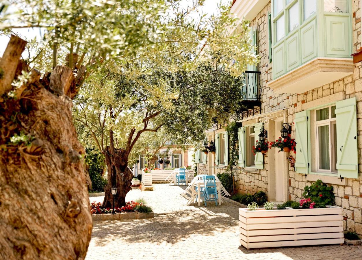 Zeytin Arasi Apart Otel Айвалик Екстер'єр фото