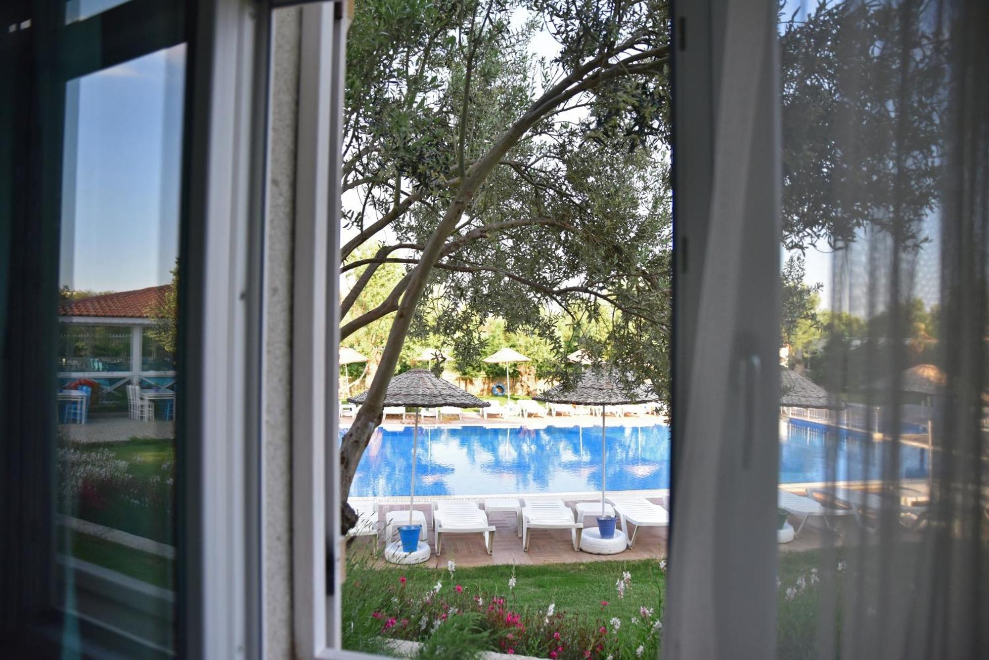 Zeytin Arasi Apart Otel Айвалик Номер фото