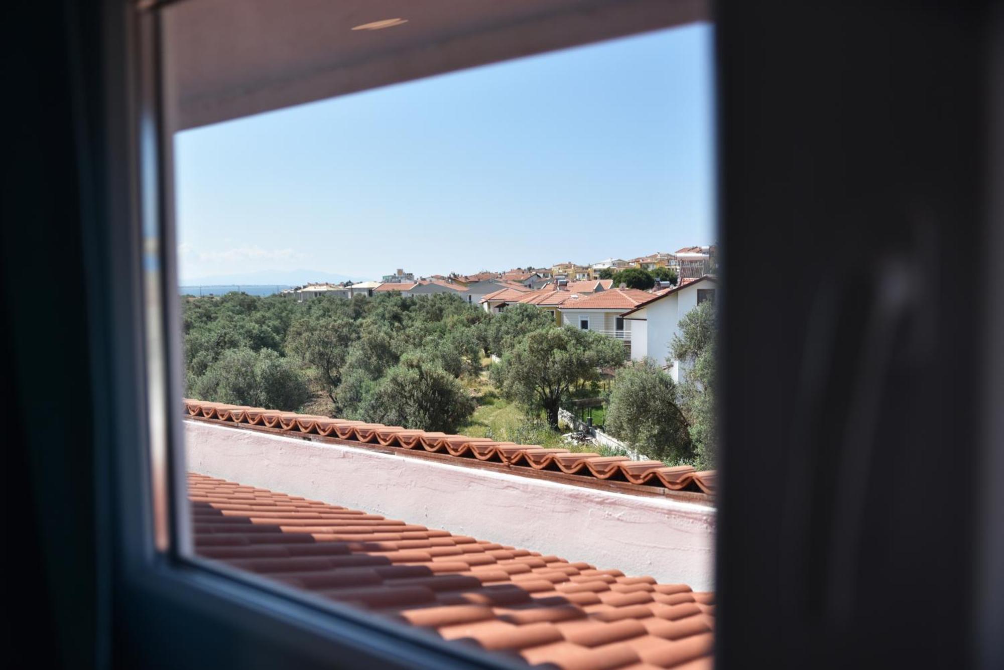 Zeytin Arasi Apart Otel Айвалик Номер фото